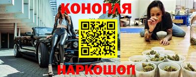 индика Ирбит