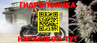 молекула духа Изобильный
