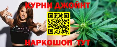 индика Ирбит