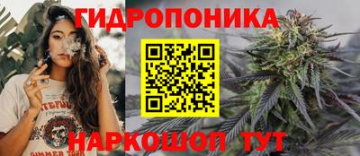 индика Ирбит