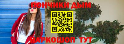 индика Ирбит