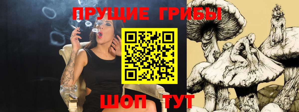 Галлюциногенные грибы Psilocybe  Вход с VPN  Мичуринск 