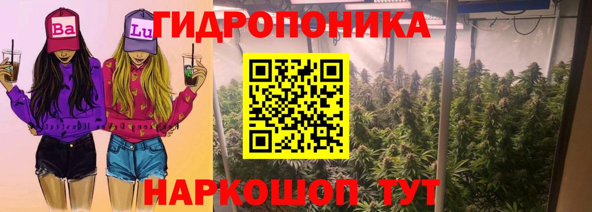 Бошки Шишки ГИДРОПОН  Канабис план  Мичуринск  Конопля семена  Вход с VPN 